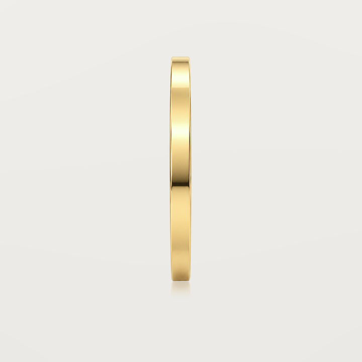 Jonc Miroir